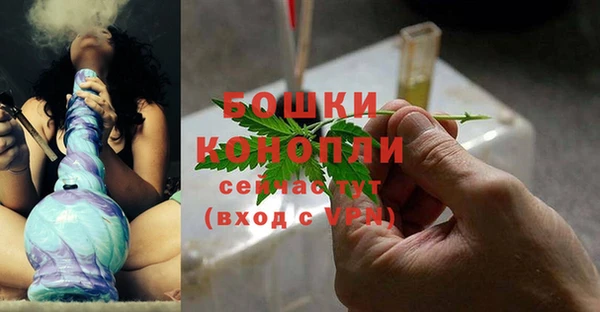 бошки Аркадак