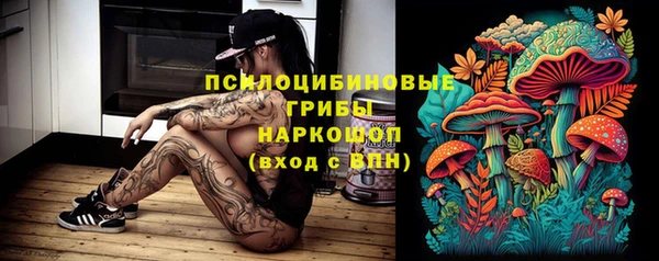 mix Арсеньев