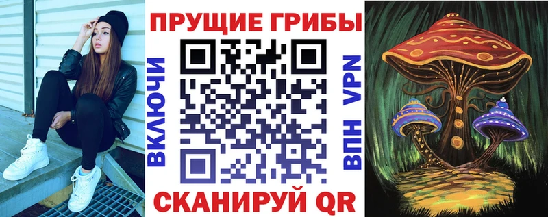 купить  сайты  Усть-Катав  Галлюциногенные грибы мицелий 